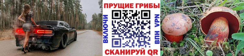 Псилоцибиновые грибы GOLDEN TEACHER  shop какой сайт  Верхнеуральск 